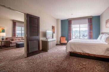 هتل Hilton Garden Inn Mankato Downtown