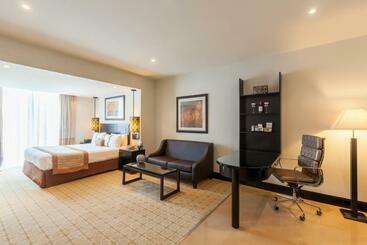 هتل Holiday Inn Dubai Al Barsha, An Ihg