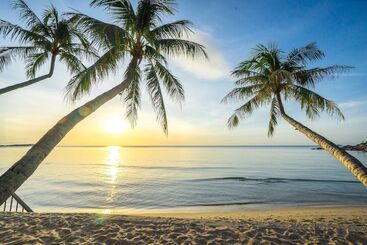 هتل Samui Paradise Chaweng Beach Resort , Sha Plus