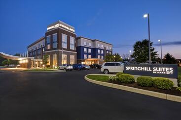 هتل Springhill Suites By Marriott Indianapolis Airport/plainfield