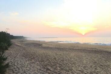 هتل The Oasis Beach Resort