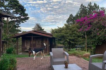 تختخواب و صبحانه The Lodge At Reventazon River Mountain Ranch