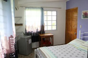 هتل Bed And Breakfast Little Italy