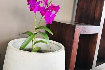 هتل Te Fiti Island Break Mahina