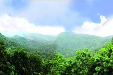 استراحتگاه Green Trees Munnar
