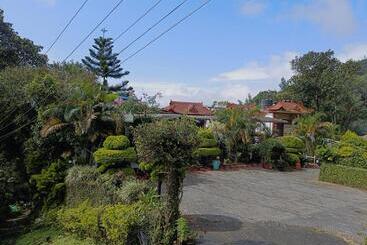 استراحتگاه Green Trees Munnar