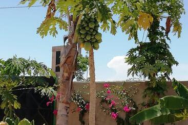 تختخواب و صبحانه Kendwa Carletto Style