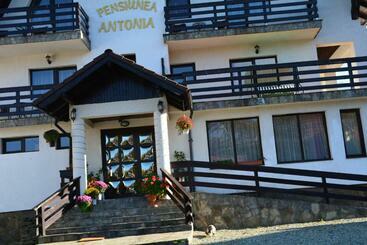 Pensiunea Antonia