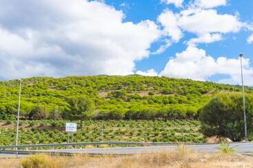 تختخواب و صبحانه Backpackers La Gaditana
