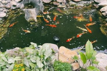 تختخواب و صبحانه Pao S Leisure Homestay