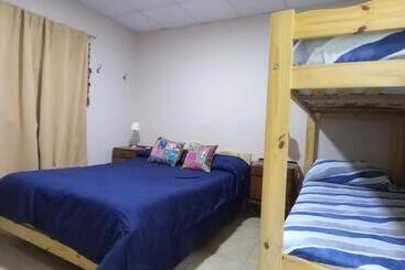 هتل Willy Hostel