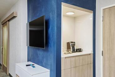 هتل Springhill Suites By Marriott Chicago Chinatown