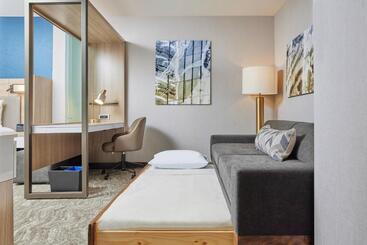 هتل Springhill Suites By Marriott Chicago Chinatown