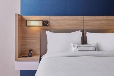 هتل Springhill Suites By Marriott Chicago Chinatown