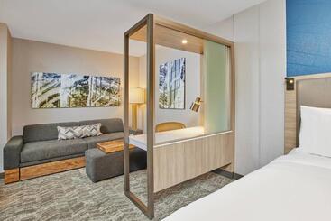 هتل Springhill Suites By Marriott Chicago Chinatown