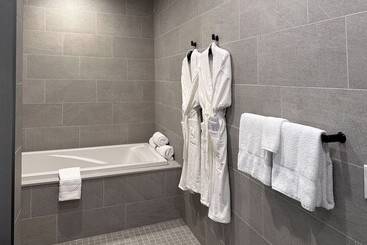 هتل Springhill Suites By Marriott Chicago Chinatown