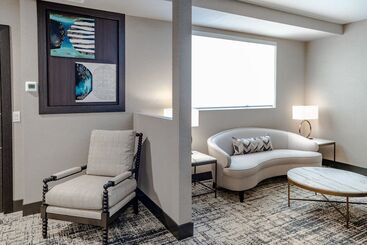 هتل Springhill Suites By Marriott Chicago Chinatown