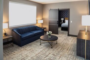هتل Springhill Suites By Marriott Chicago Chinatown
