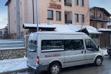 هتل Aneli