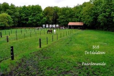 هتل B&b De Edelsteen
