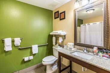 هتل Comfort Inn & Suites Panama City North