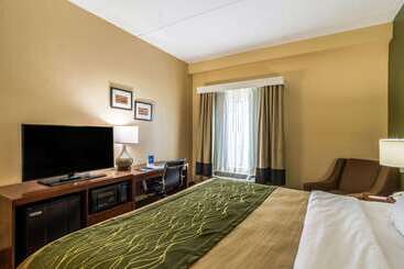 هتل Comfort Inn & Suites Panama City North