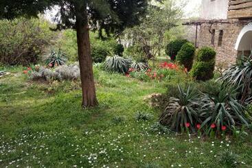 Family Hotel Elena