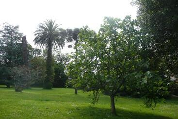 هتل Las Carolinas Garden