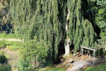 Parkhotel Villa Des Effats Vielsalm