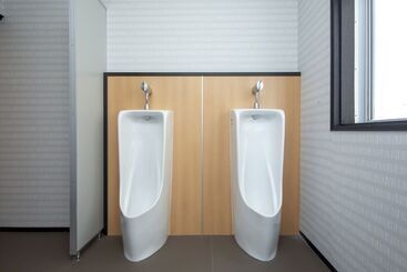 The Ryokan O