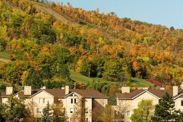 هتل Blue Mountain Resort Home Collection