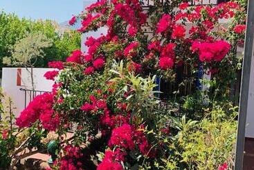 مسافرخانه Pension Aduar