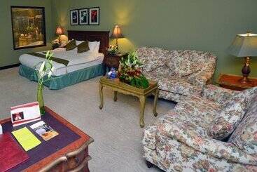 هتل The Convention Center & Royal Suites