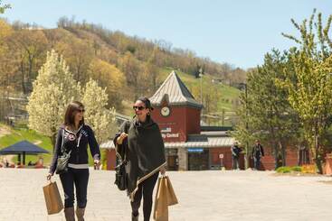 هتل Blue Mountain Resort Mosaic Suites
