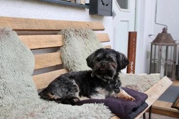 Boutique Hotel Alpenhof