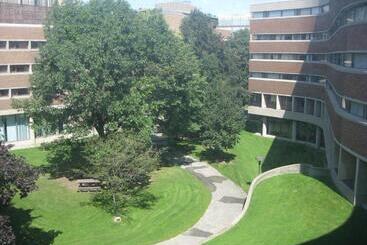 University Of Toronto   New College Residence   Wilson Hall Residence