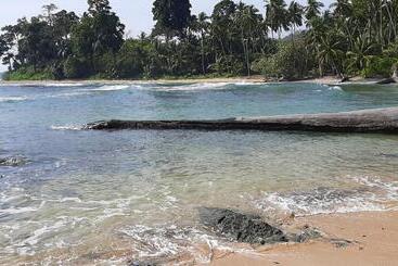 Adhvasaha Beach Spa Resort