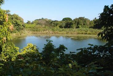 تختخواب و صبحانه Zopango Orchids Island