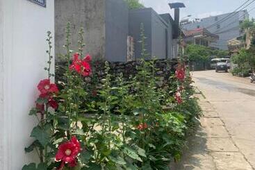 The 1996 House - Lào Cai