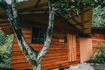 هتل Selva Armonia Immersive Jungle Resort