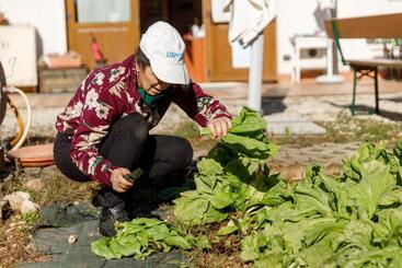 Отель Agriturismo Agricamping Garda Natura