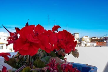 تختخواب و صبحانه Hi Valencia Canovas