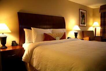 هتل Hilton Garden Inn San Diego Del Mar