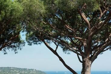 هتل Hôtel Villa Marie Saint Tropez