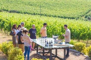 Quinta Da Barroca Douro Valley - Armamar