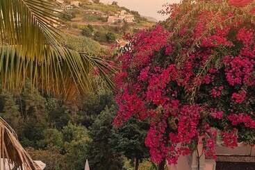 Villa Alto Boutique - Ponta do Sol