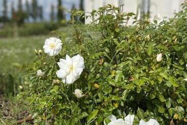 هتل Villa Bellagio Amboise By Popinns