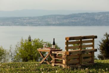 استراحتگاه Garden & City Evian  Lugrin