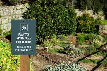 Douro Palace Hotel Resort & Spa - Baiao