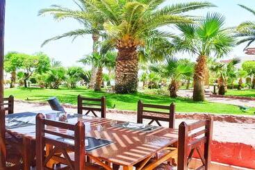 هتل Tropitel Dahab Oasis